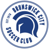 FC Bulleen Lions