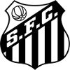 Botafogo RJ Youth